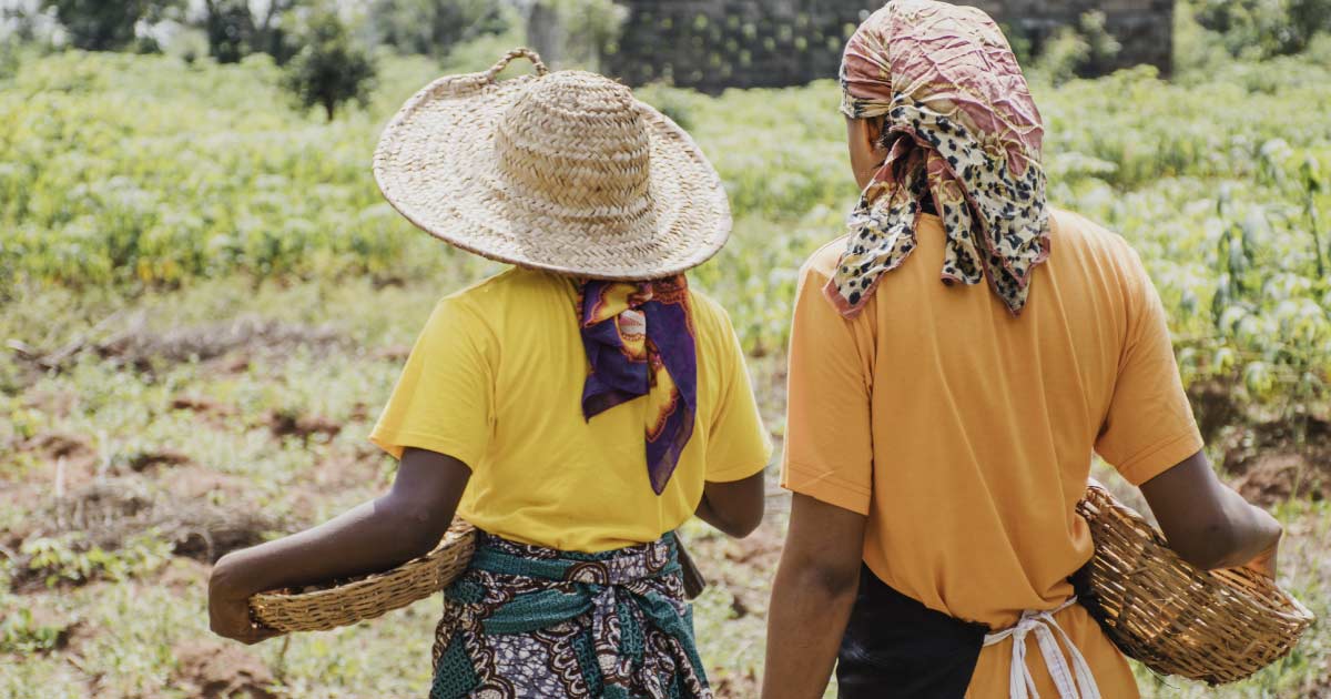 Empowering Women Farmers Through Cooperative Training